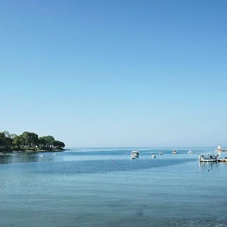 Διαμέρισμα Mirela