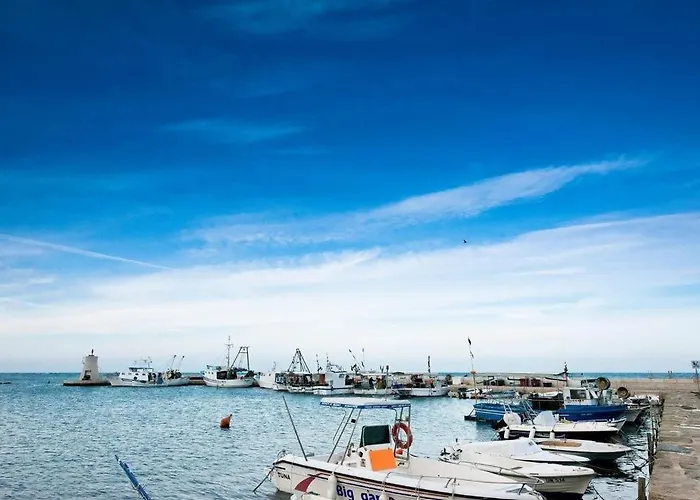 Mirela * 사부드리자