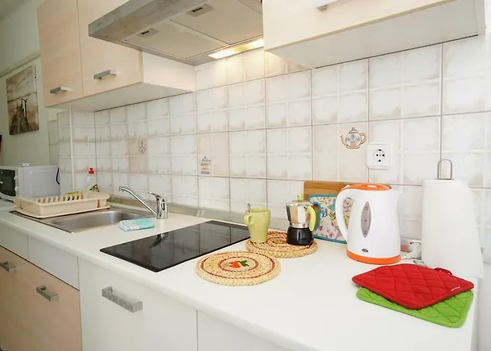 Mirela 사부드리자