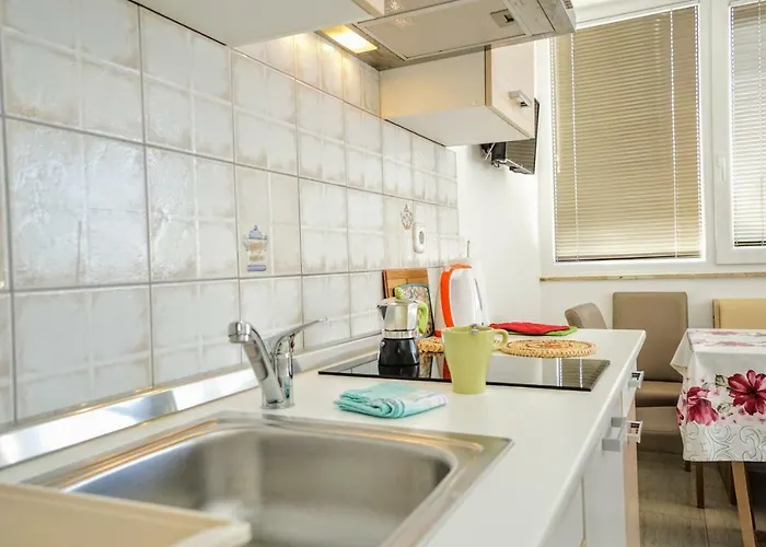 Mirela 사부드리자