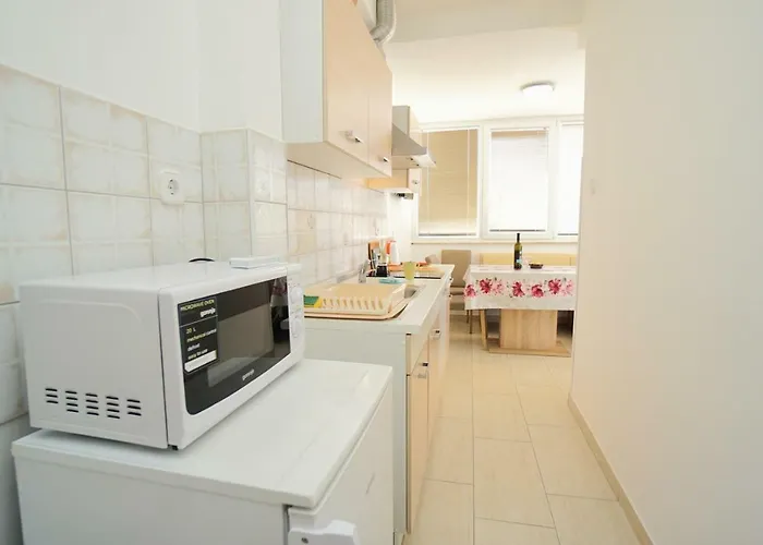 Mirela 아파트 사부드리자