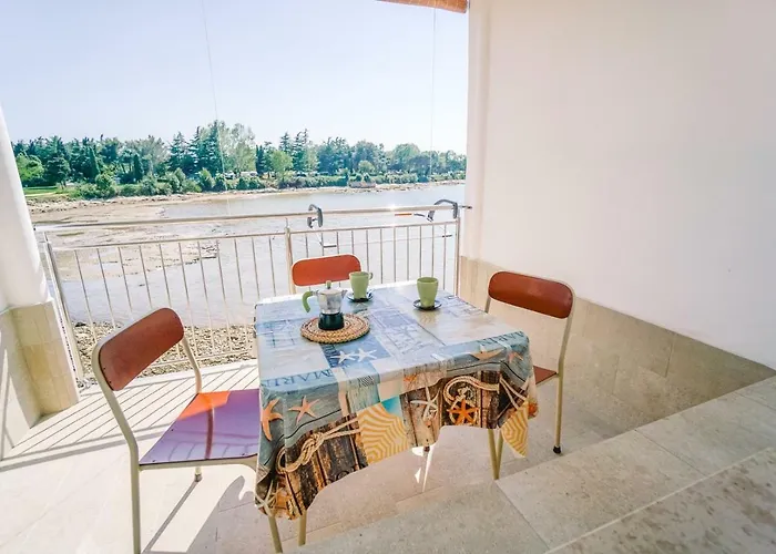 Mirela 사부드리자